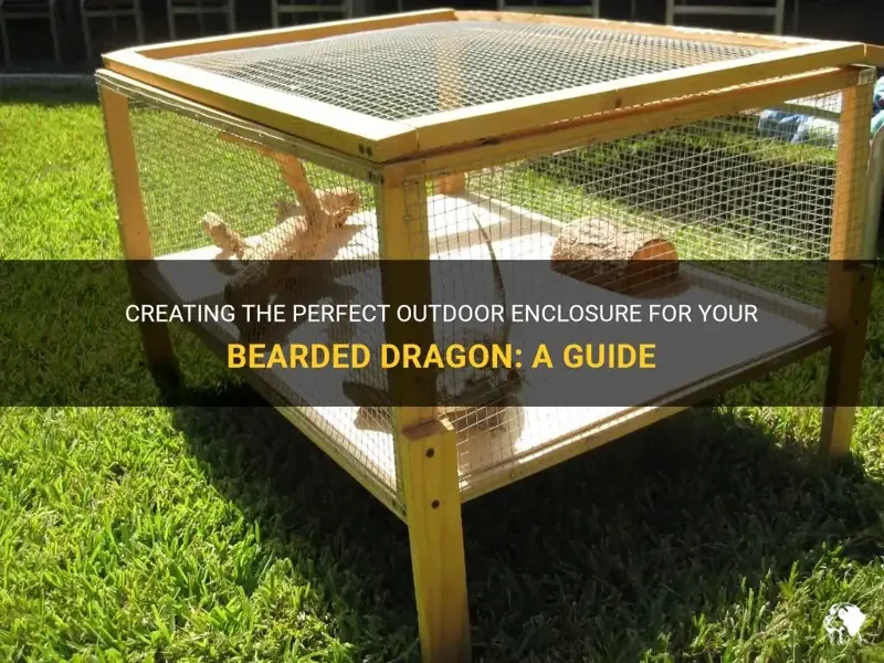 healthy bearded dragon