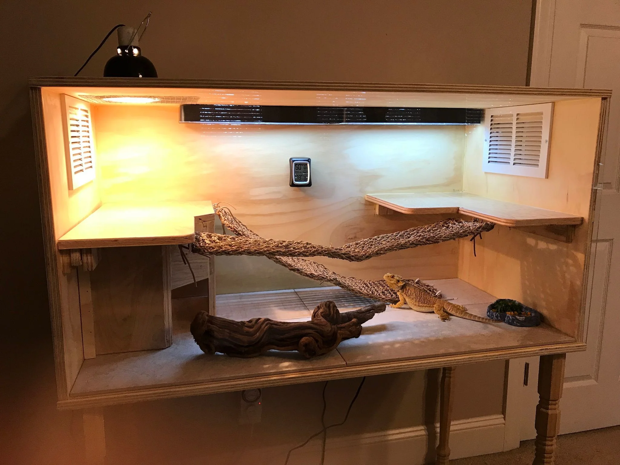 bearded dragon enclosure materials