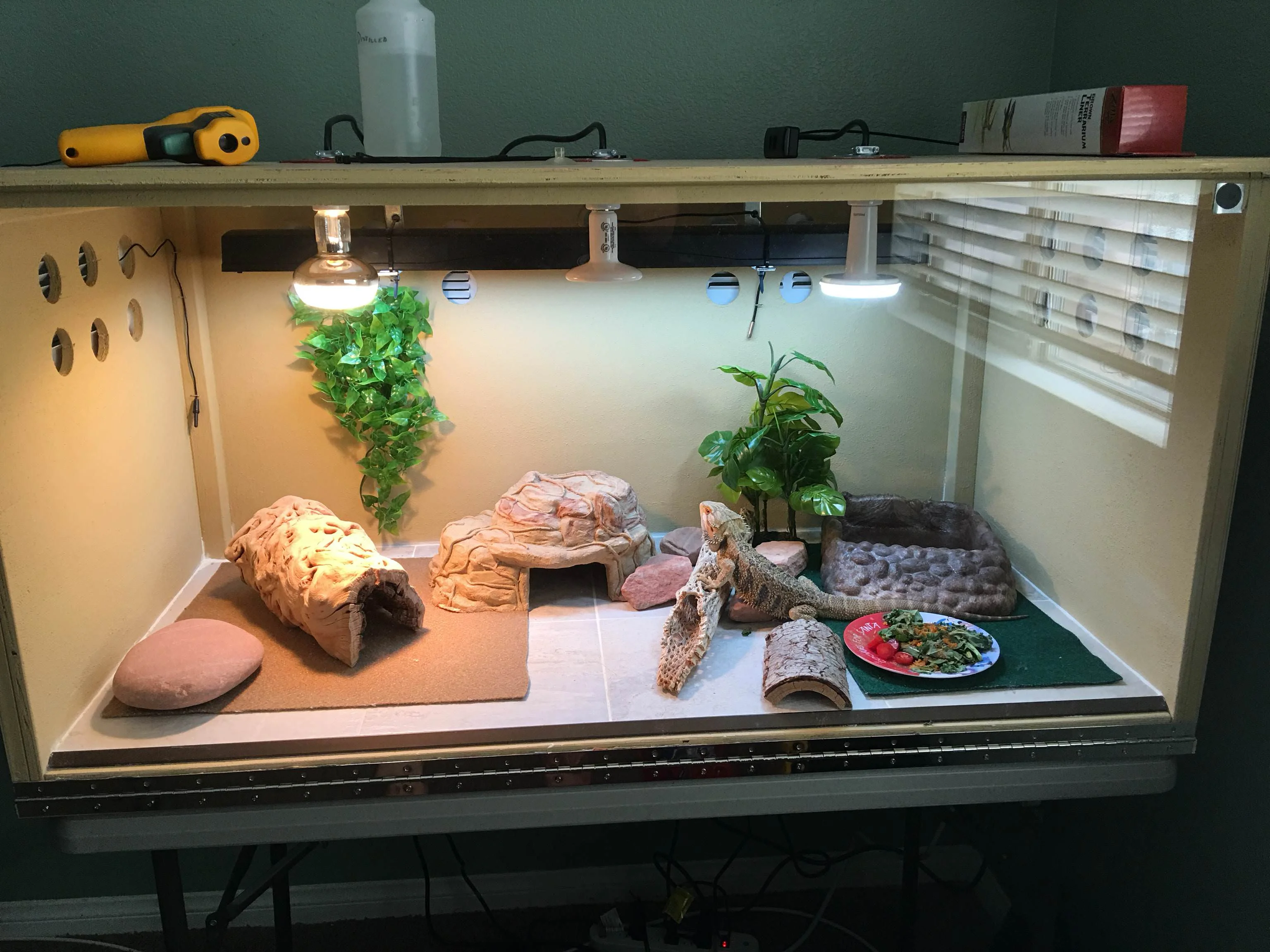bearded dragon enclosure substrate