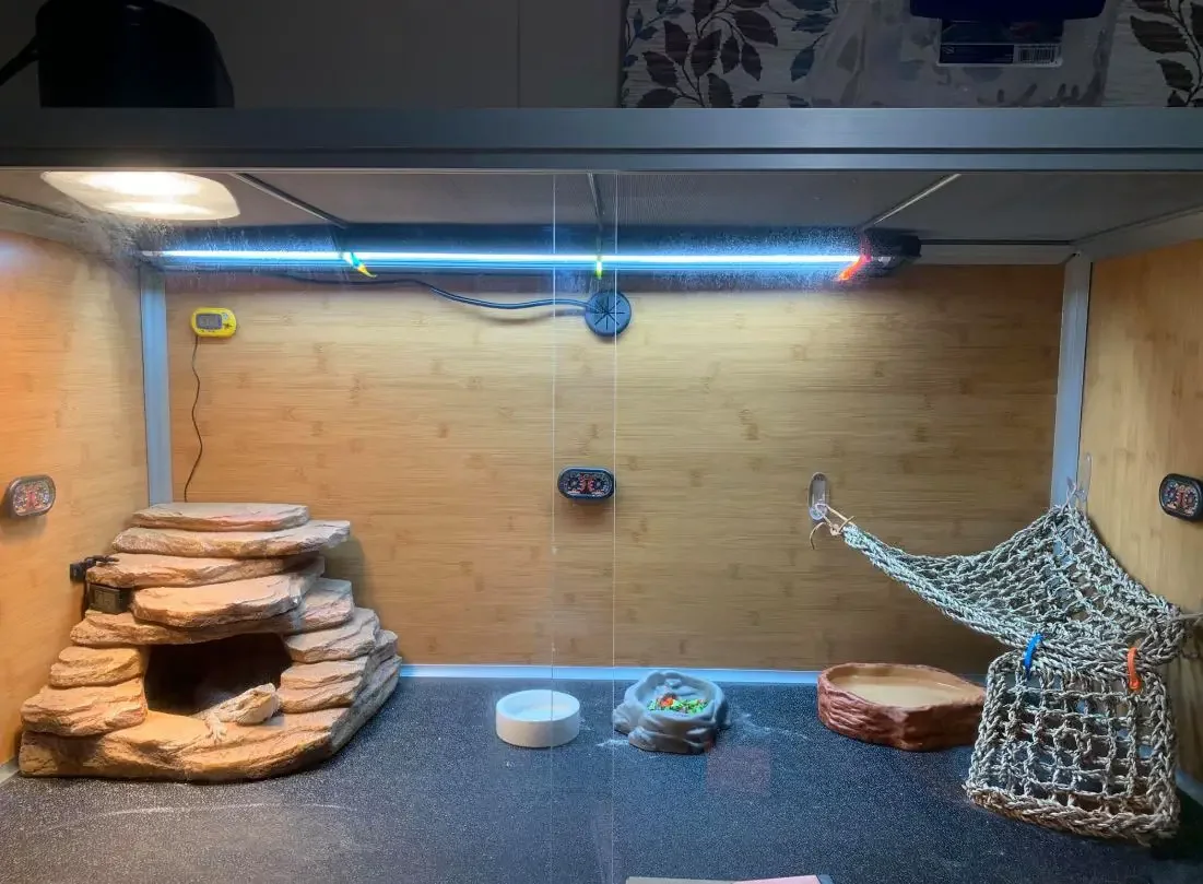 uvb lighting bearded dragon
