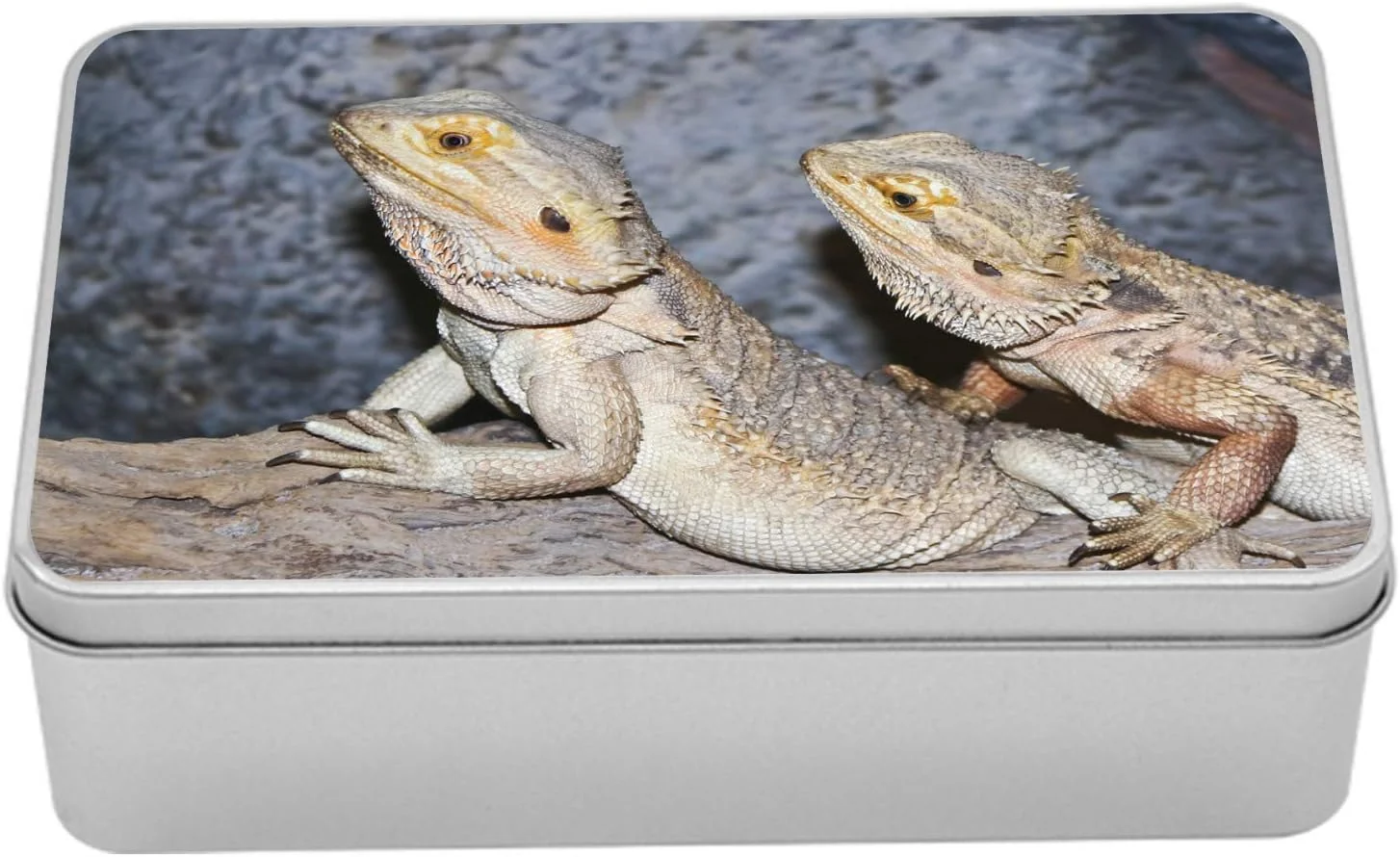 bearded dragon humidity