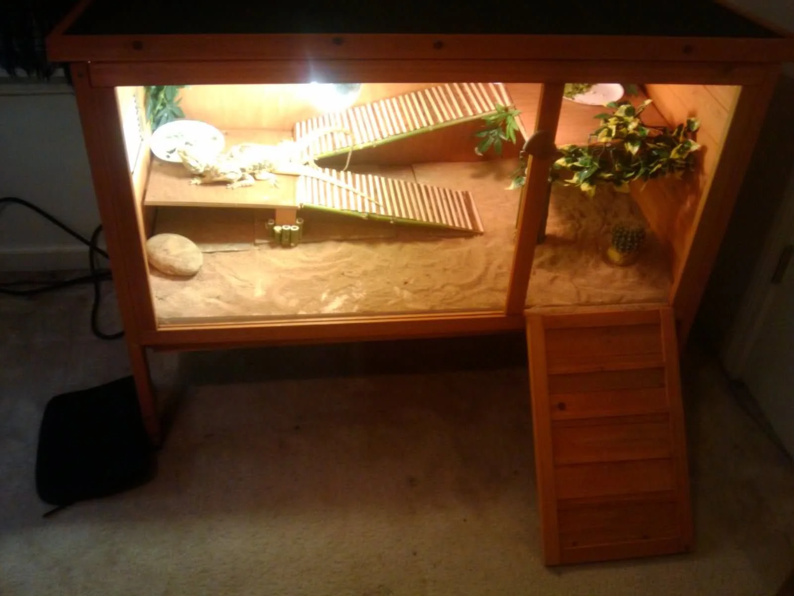 bearded dragon enclosure accessories