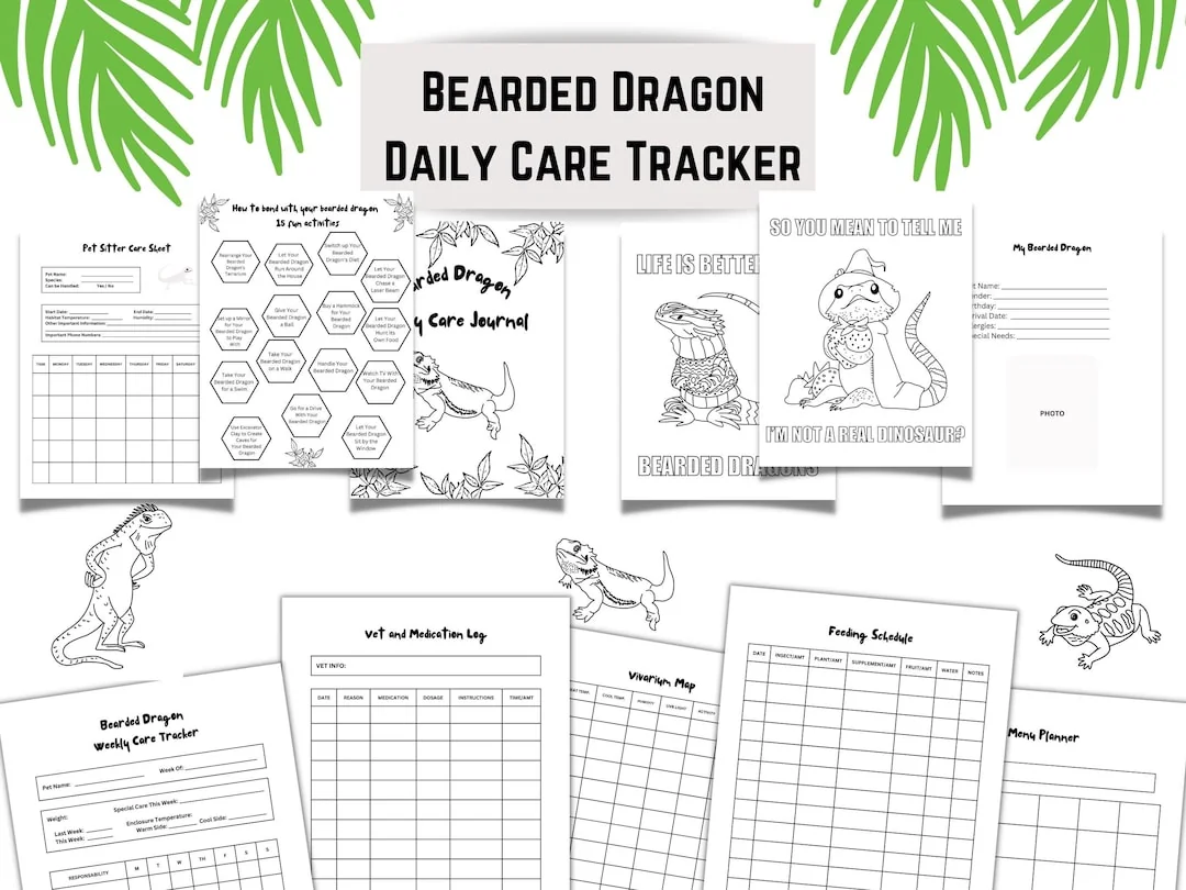 bearded dragon cleaning