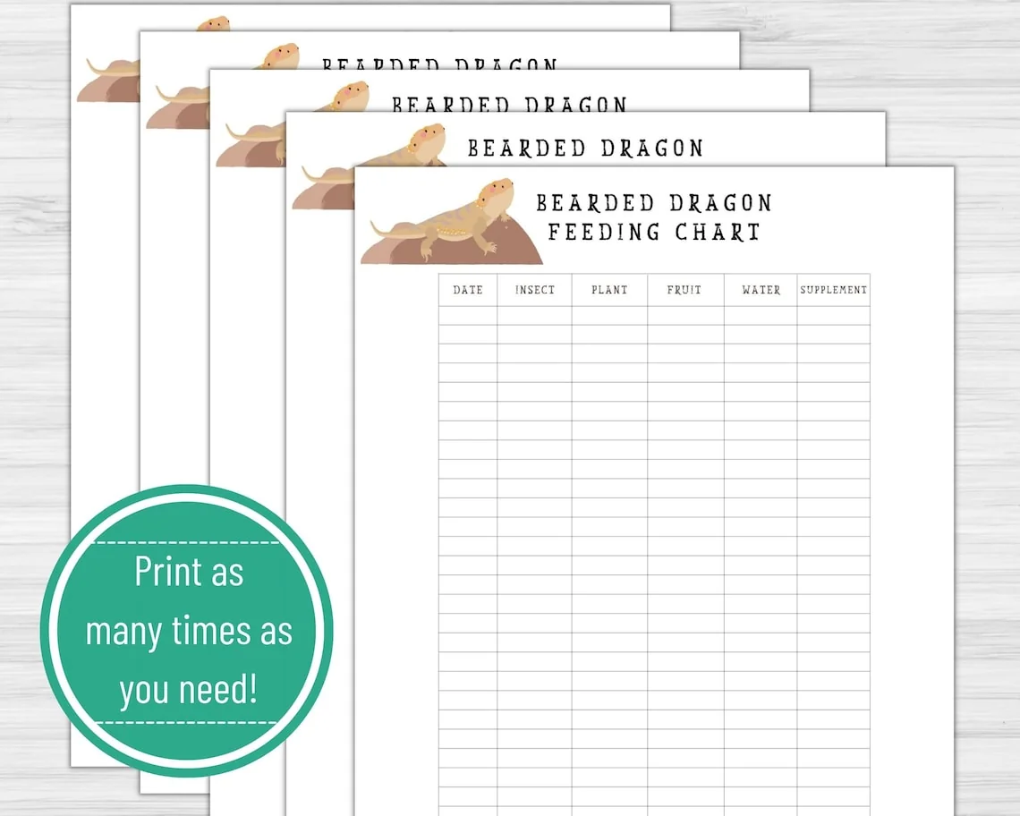 bearded dragon avoid foods