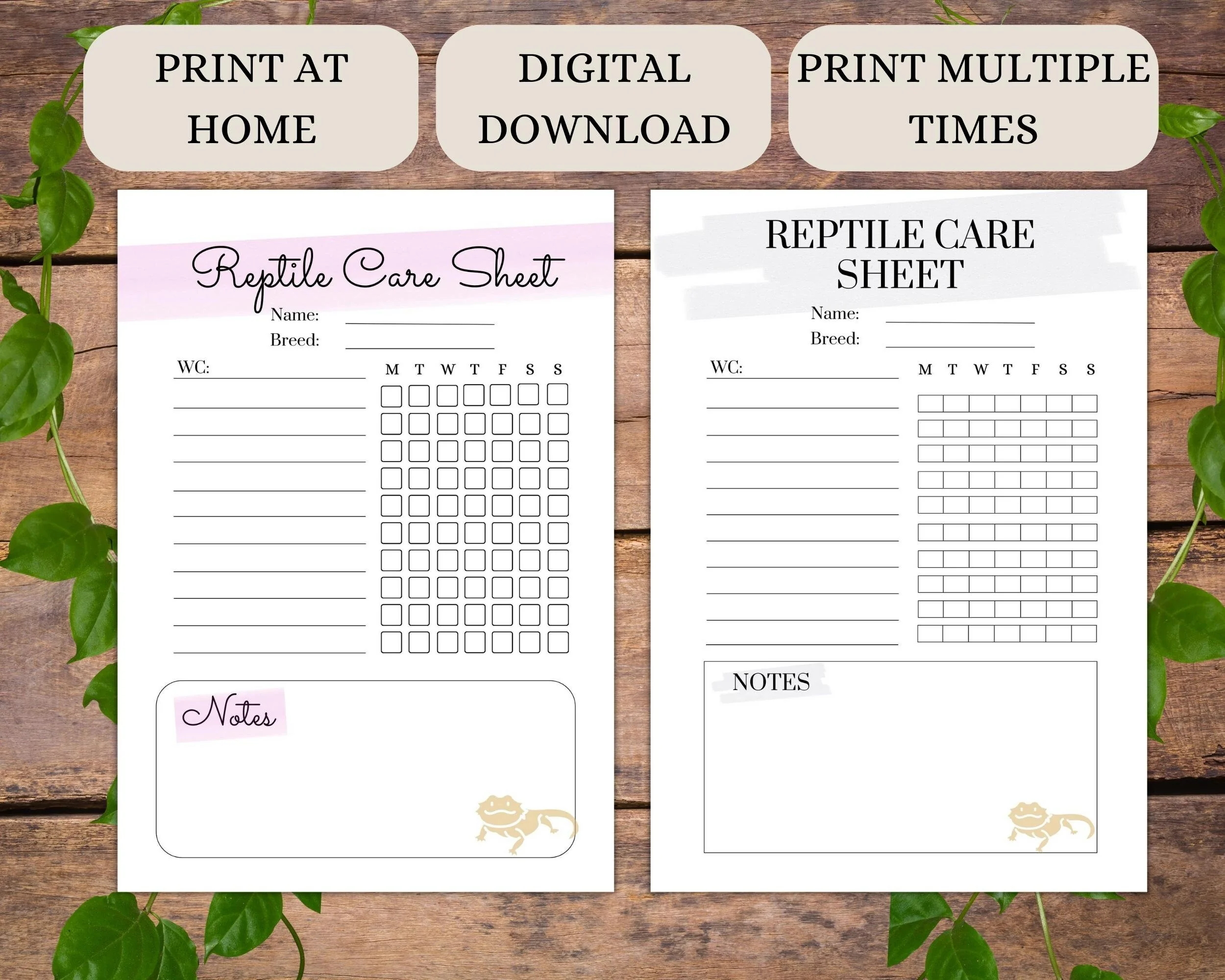 bearded dragon happy