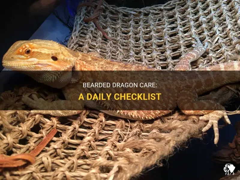 bearded dragon healthy