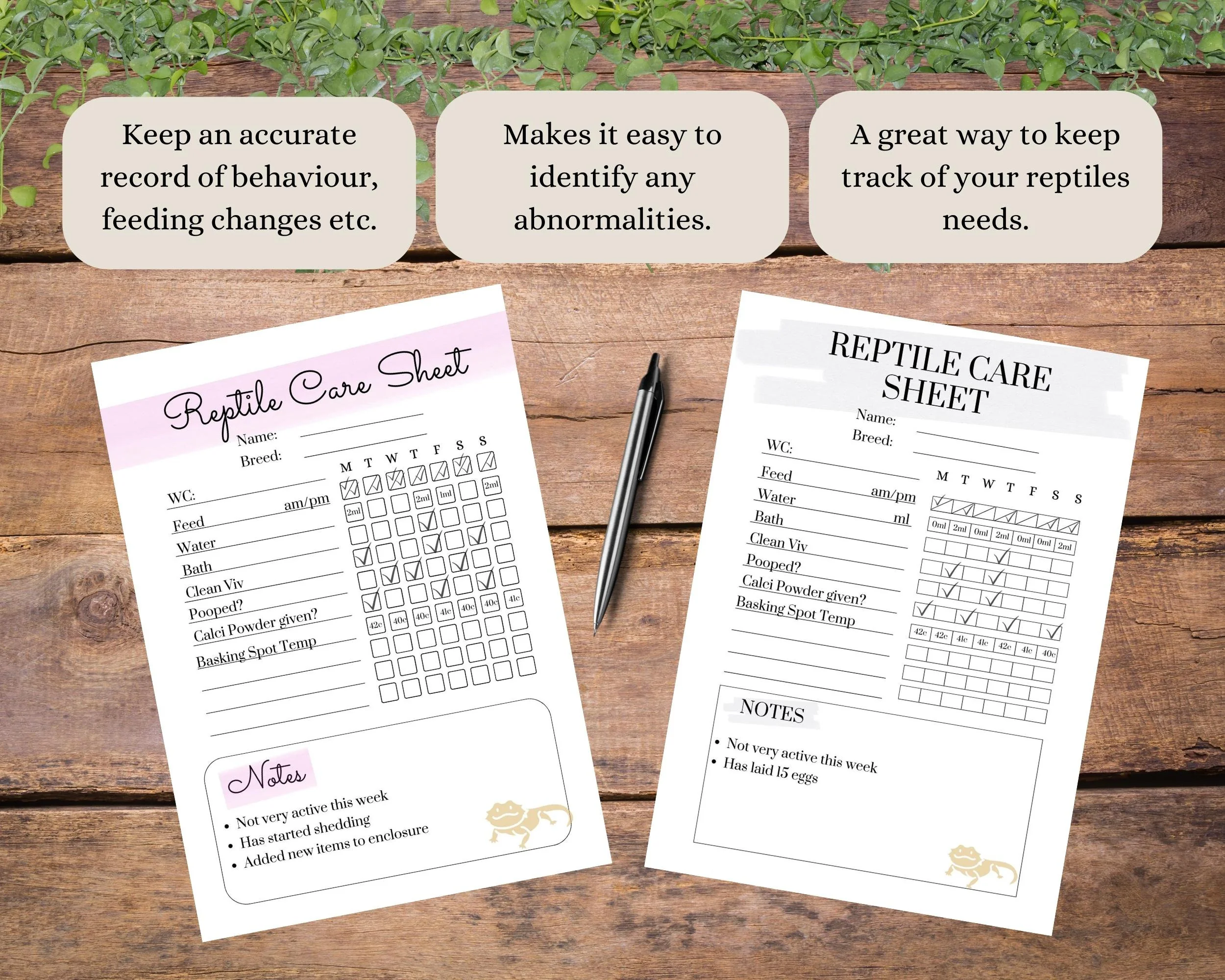 bearded dragon substrate