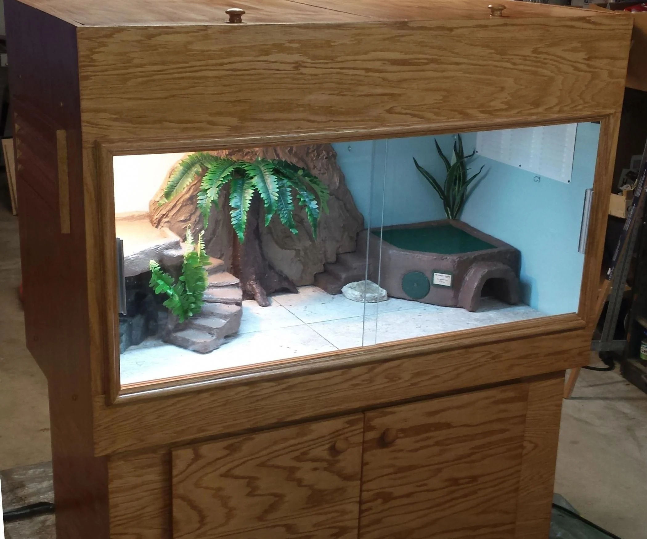 bearded dragon cleaning