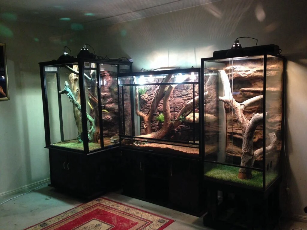 bearded dragon substrate choices