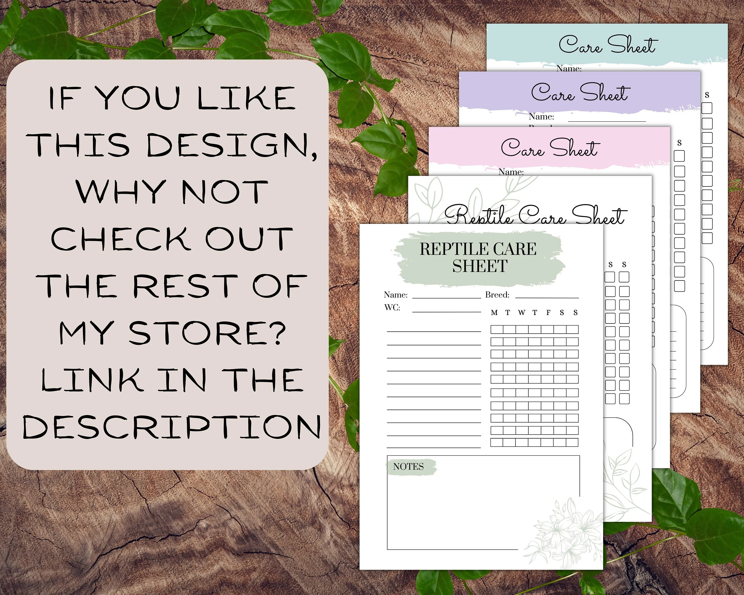 bearded dragon substrate cleaning