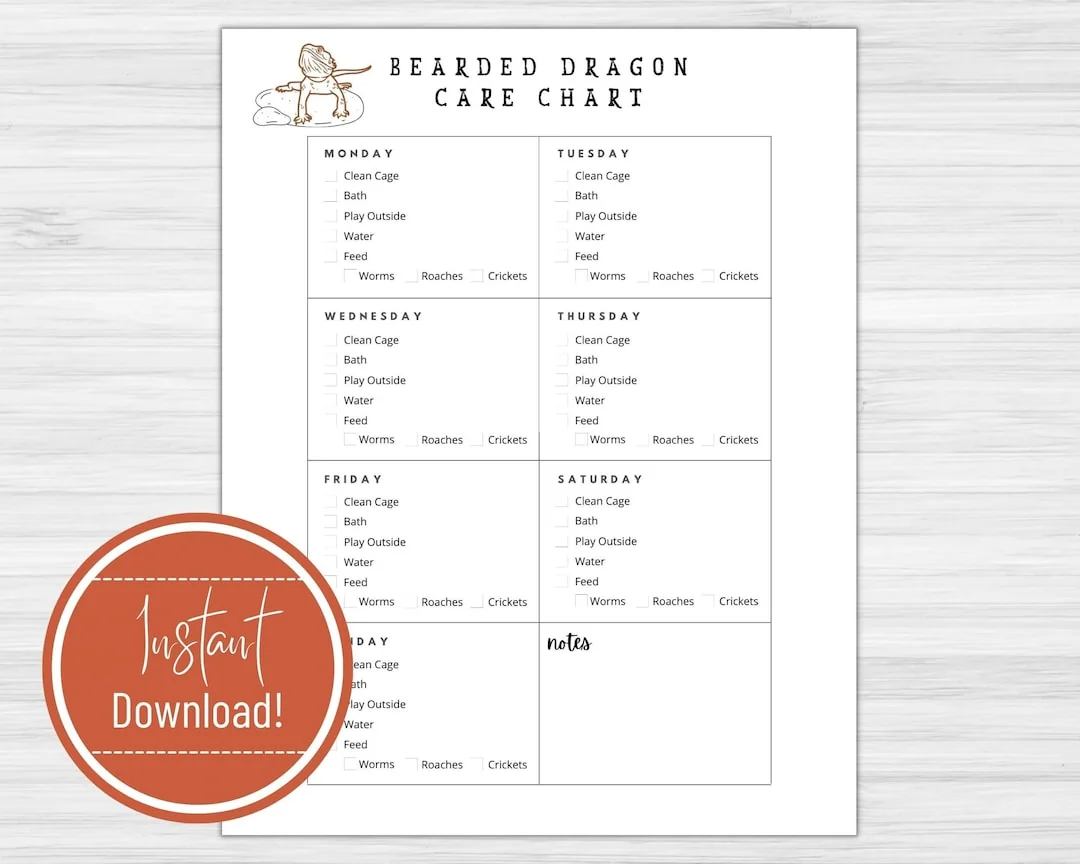 bearded dragon insect