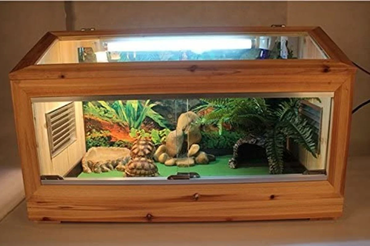 bearded dragon substrate