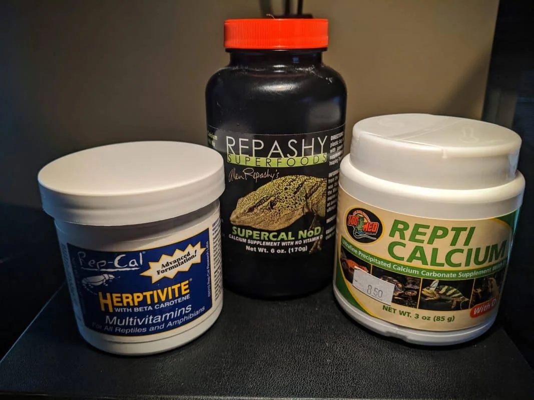 bearded dragon calcium powder