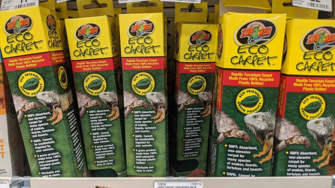 loose substrate bearded dragon