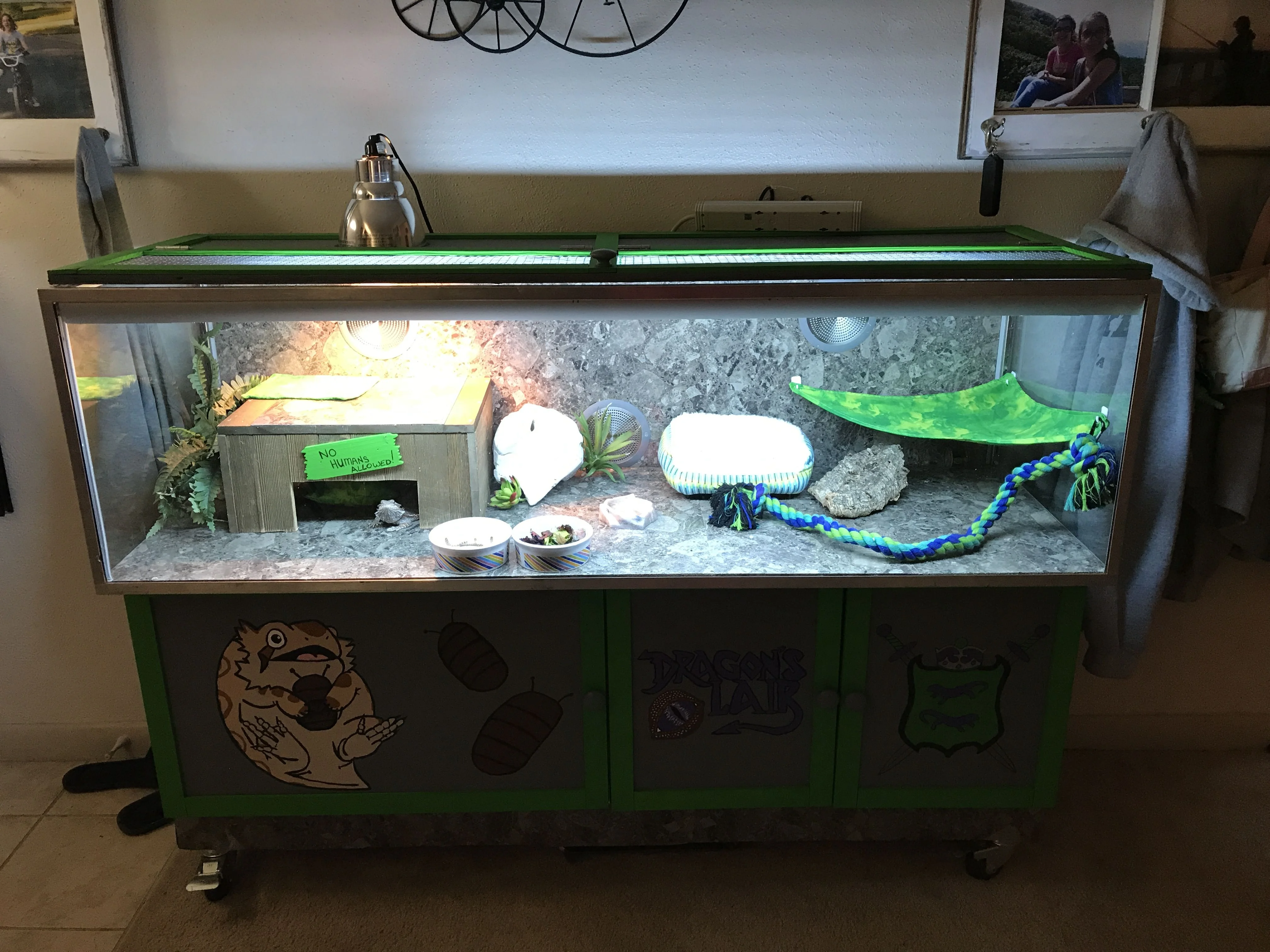 safe substrates bearded dragon