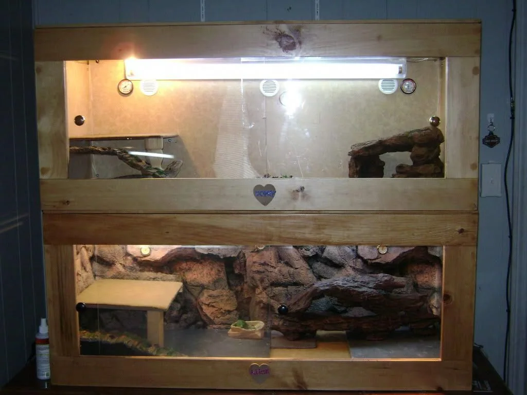 bearded dragon uvb enclosure