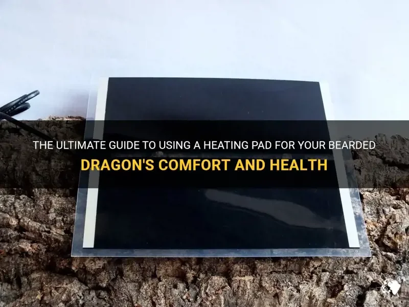 heat mat bearded dragon