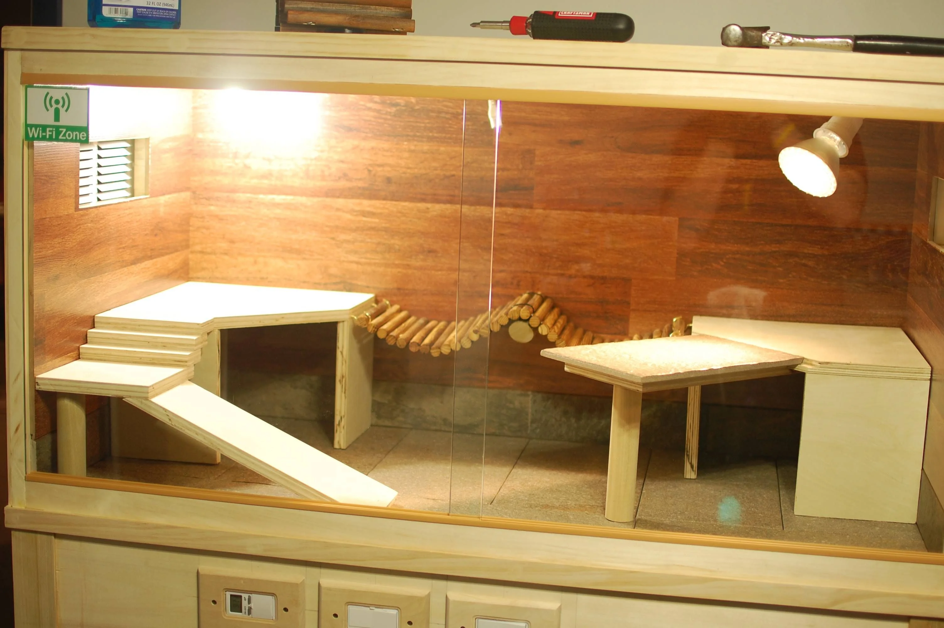 bearded dragon puzzle feeder