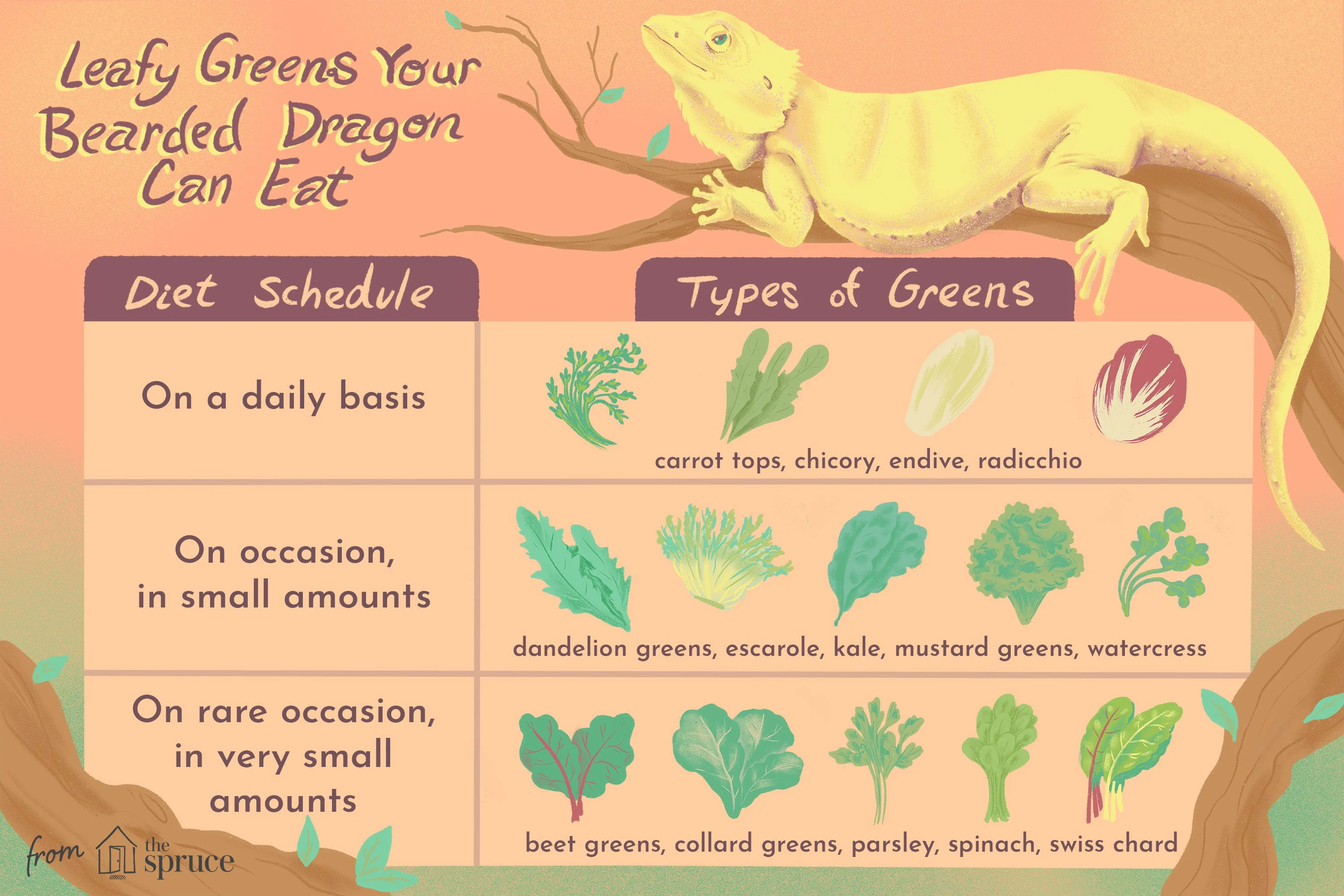 bearded dragon calcium supplements