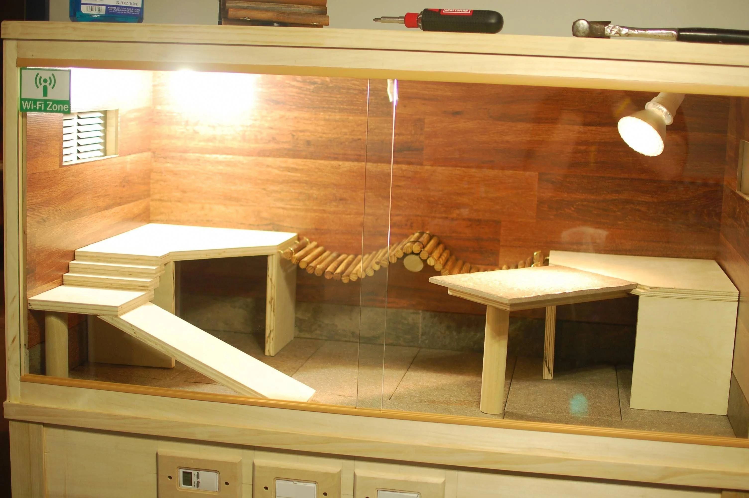 bearded dragon cleaning