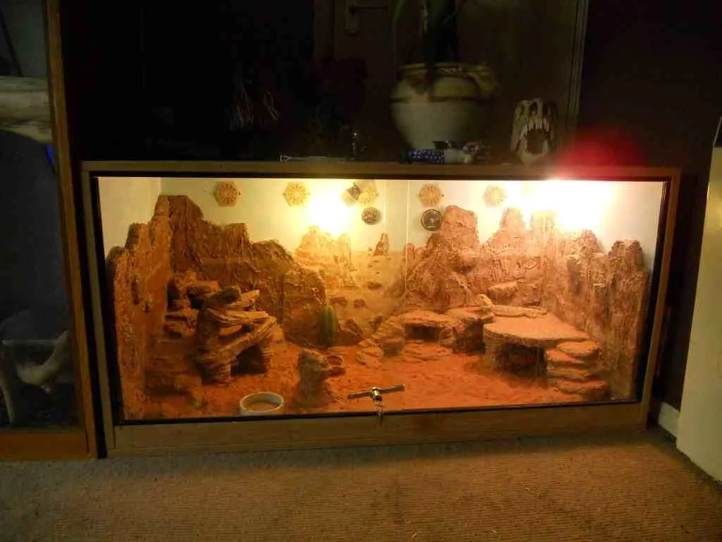 bearded dragon substrate