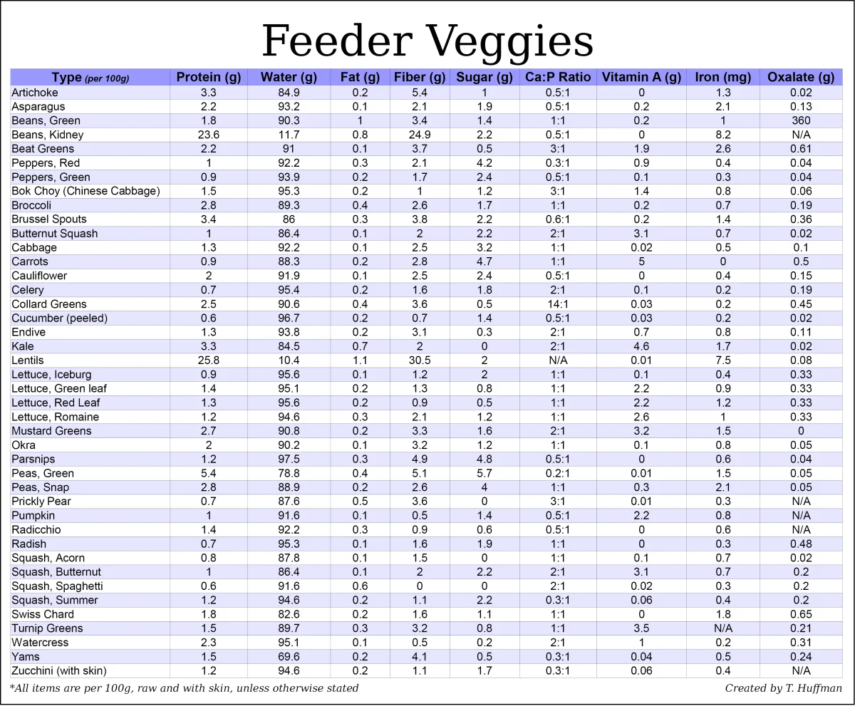 bearded dragon eating insects