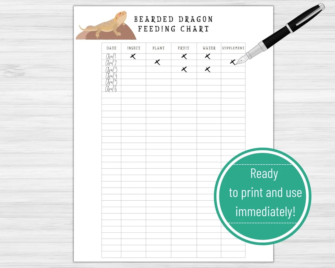 vegetables for bearded dragon