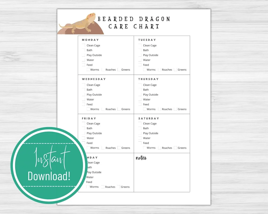 bearded dragon health prevention