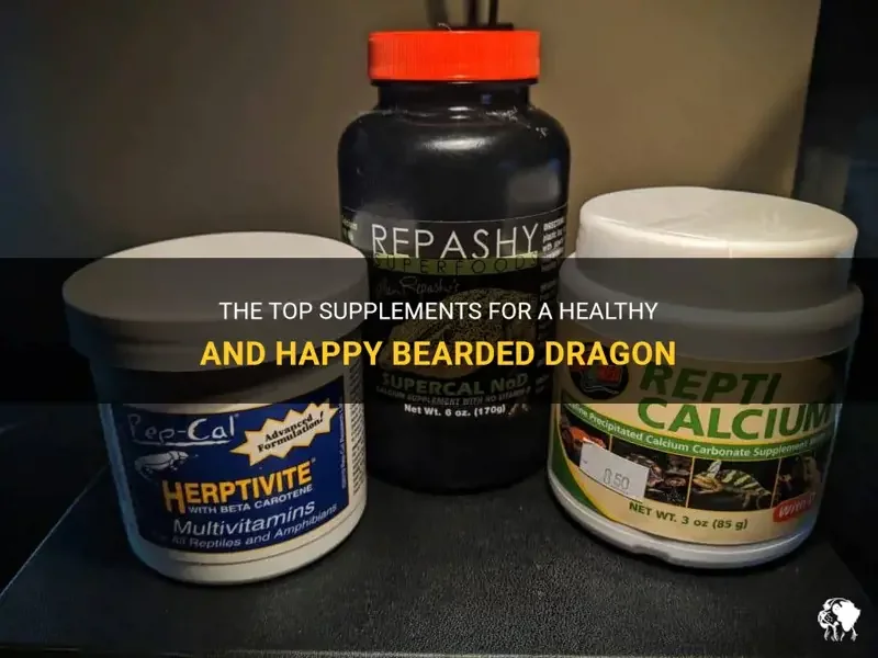 bearded dragon immune system