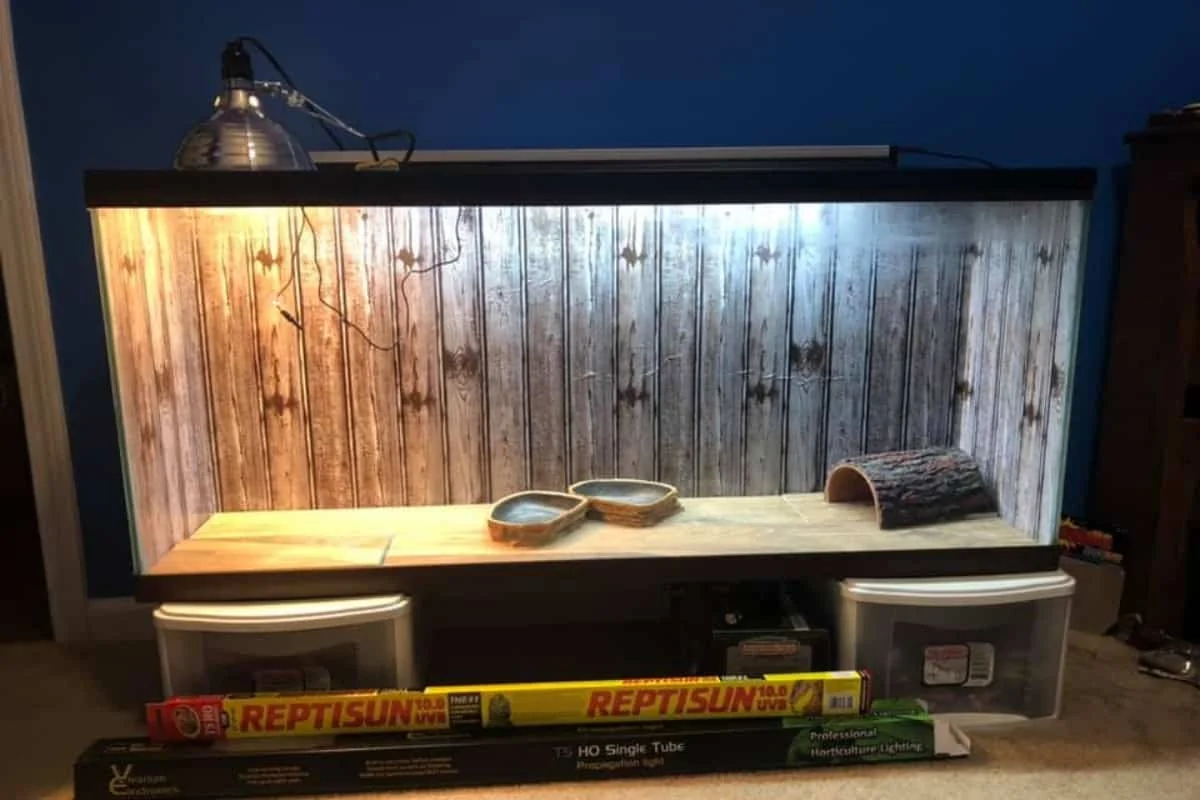 bearded dragon led lighting