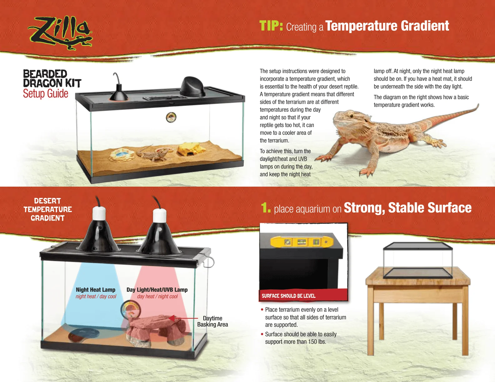 bearded dragon lighting timer
