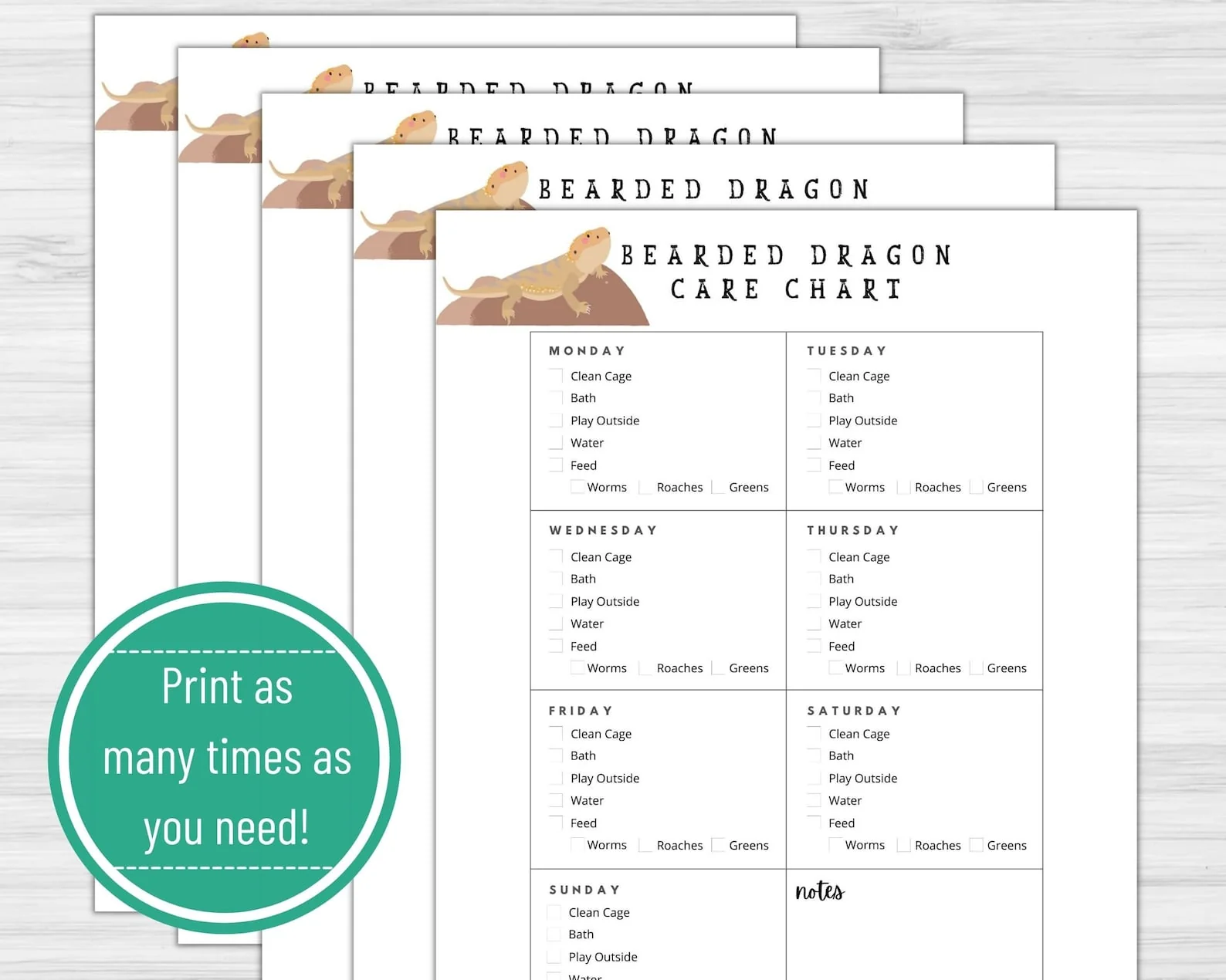 bearded dragon hatchling enclosure