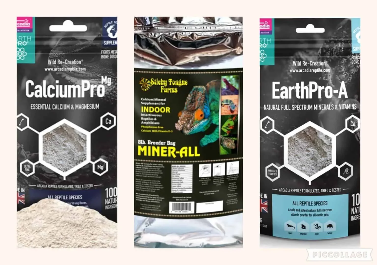 bearded dragon probiotics image5