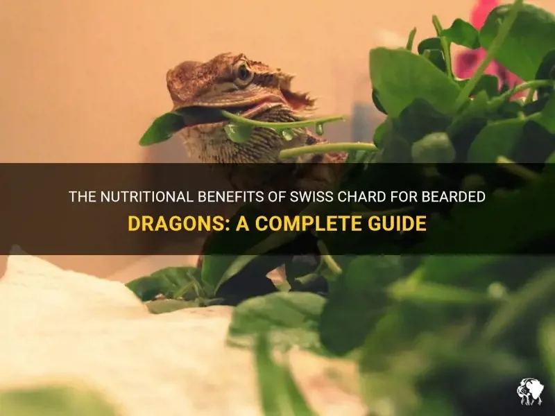 bearded dragon bone problems