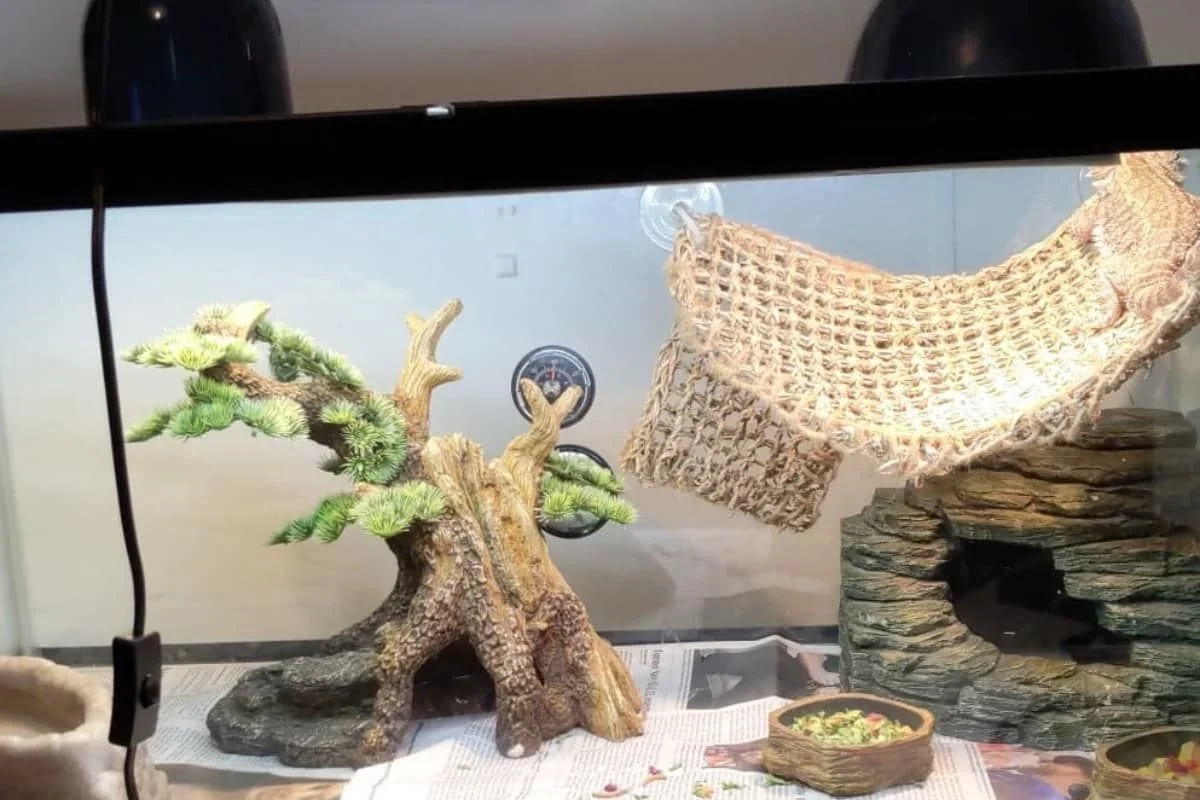 energy efficient basking bulb