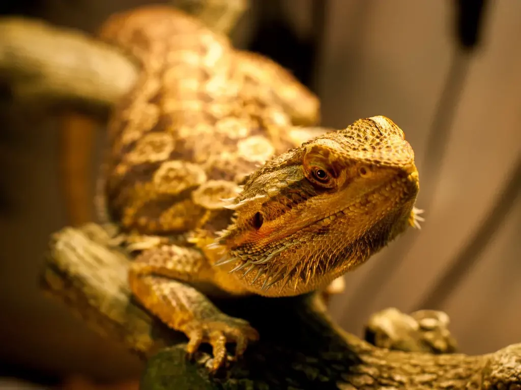 thermometer hygrometer