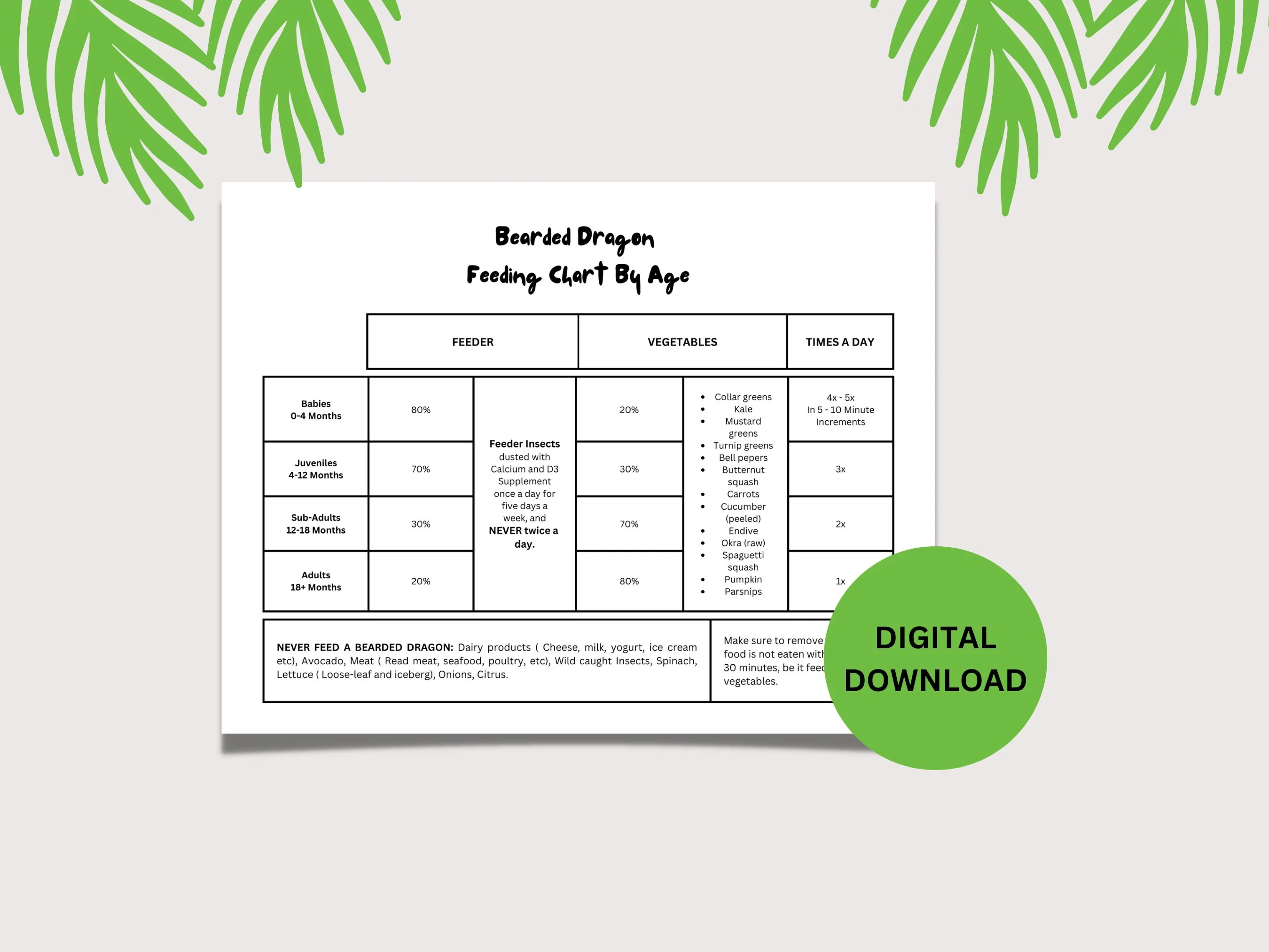 bearded dragon enrichment